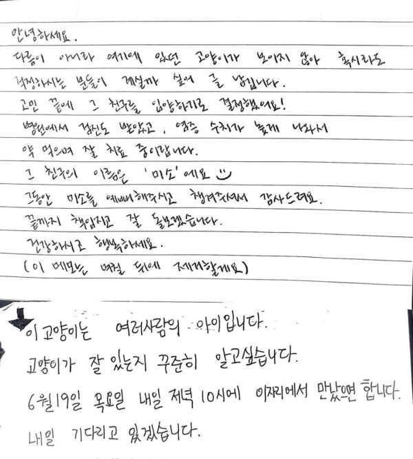 1000031522.jpg sns에서 난리났다는 길고양이 입양사건.jpg