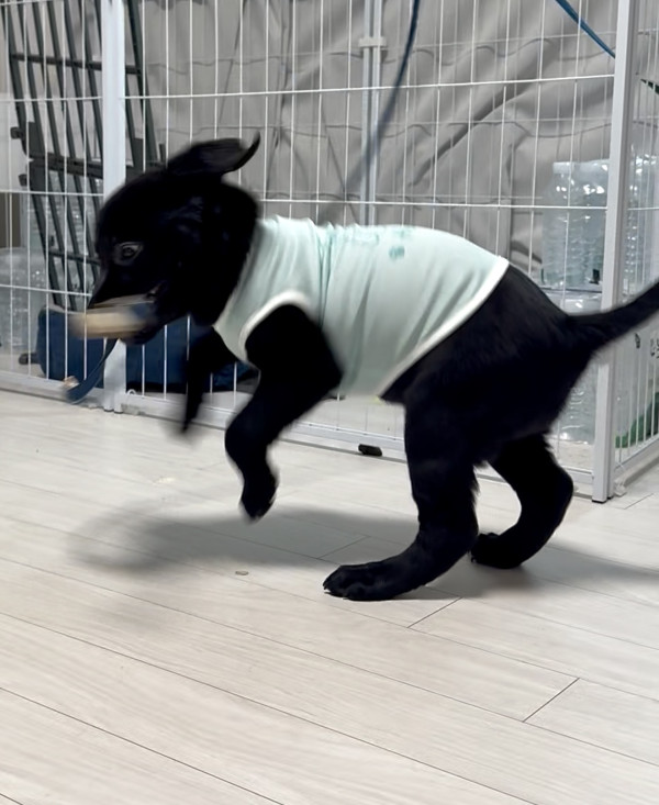 11d193569553e14774b300eb17c9dac2_1749242053_6617.jpeg
