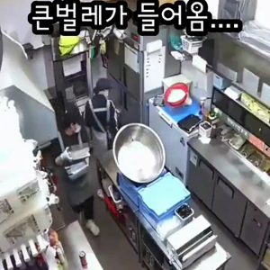 동영상 썸네일