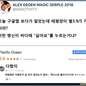 다람이의별점.jpg