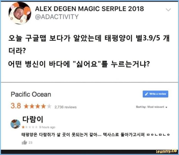 다람이의별점.jpg