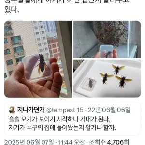 아파트에 무단 침입한 장수말벌의 최후.jpg