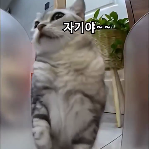 동영상 썸네일