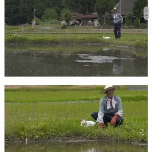 할아버지와 고양이