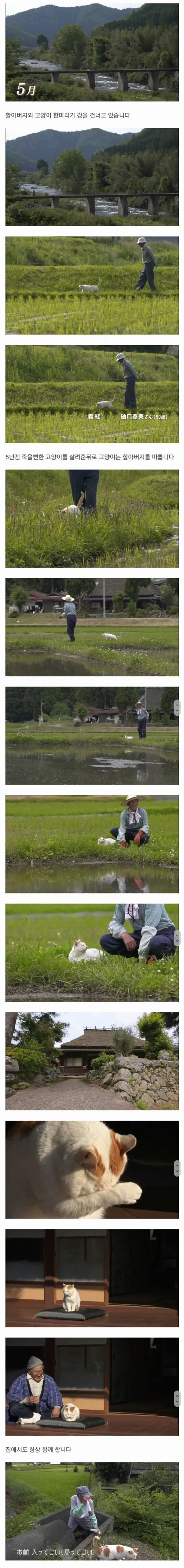 할아버지와 고양이