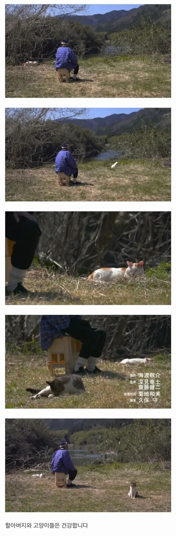 할아버지와 고양이