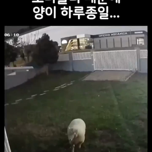동영상 썸네일