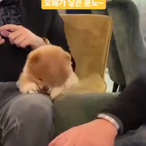 동영상 썸네일