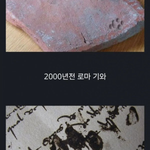 20250630133519_PnSUyQsPvP.jpeg