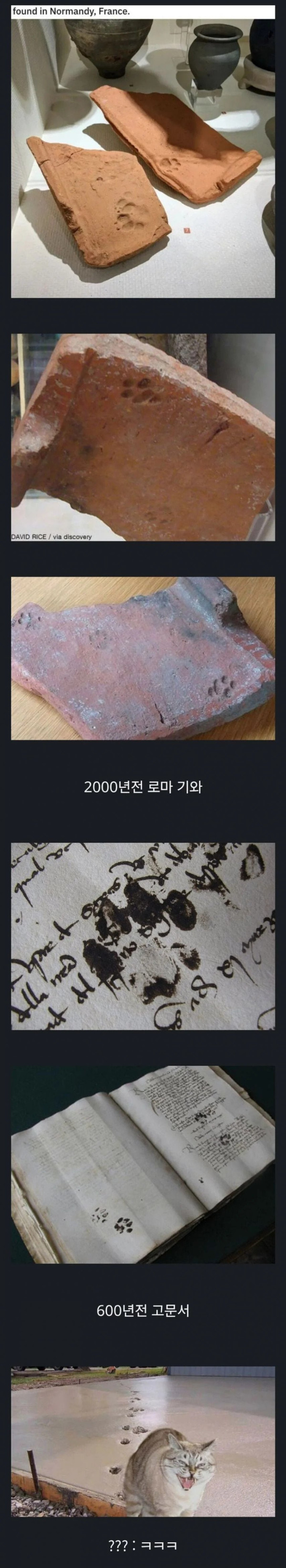 20250630133519_PnSUyQsPvP.jpeg