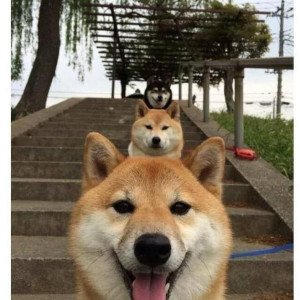 20250603120127_eJQVVcvkGo.png