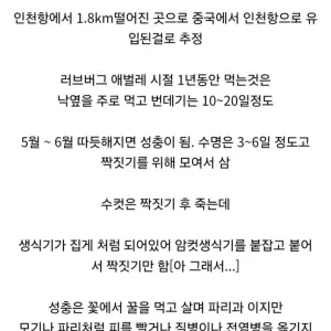 러브버그 이거 갑자기 나타난 이유