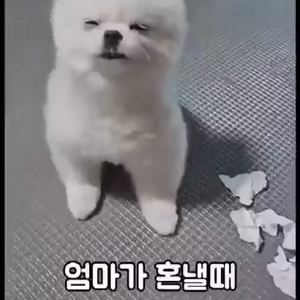 동영상 썸네일