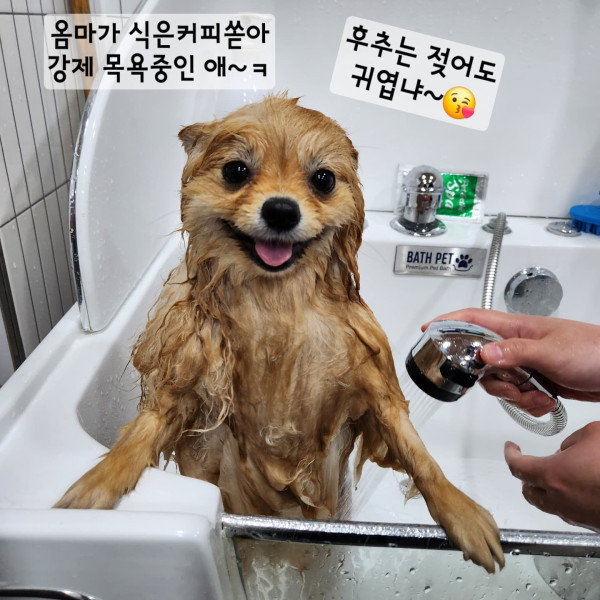 2d9989262030a5892ee37fb80c842495_1750415205_1386.jpeg