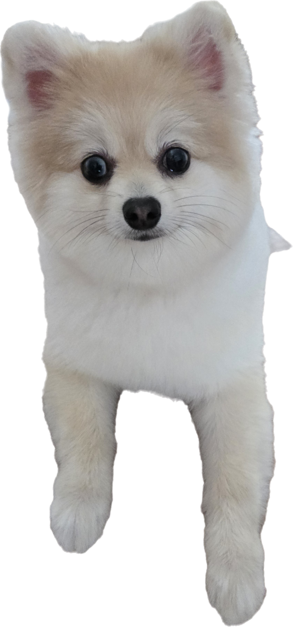 3b94f2b890cc3d3bd00f54c1ce7500b1_1749546645_6881.png
