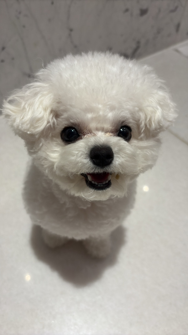 52c4fcb6d167086129c4171dae70e496_1751034910_4455.jpeg