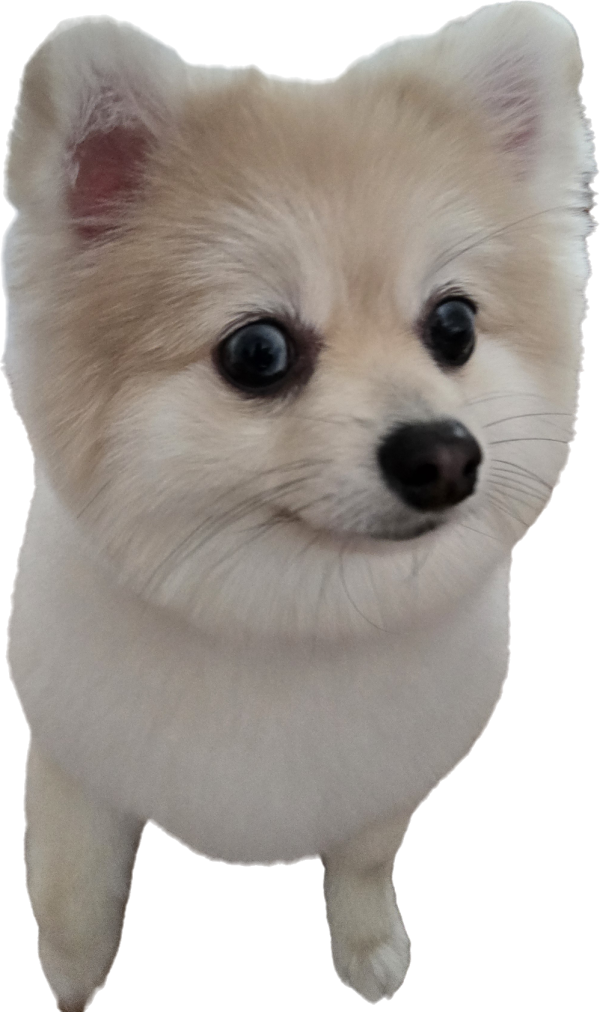 5b9abe76e41a946092395ca77a09ea7c_1749546645_3342.png