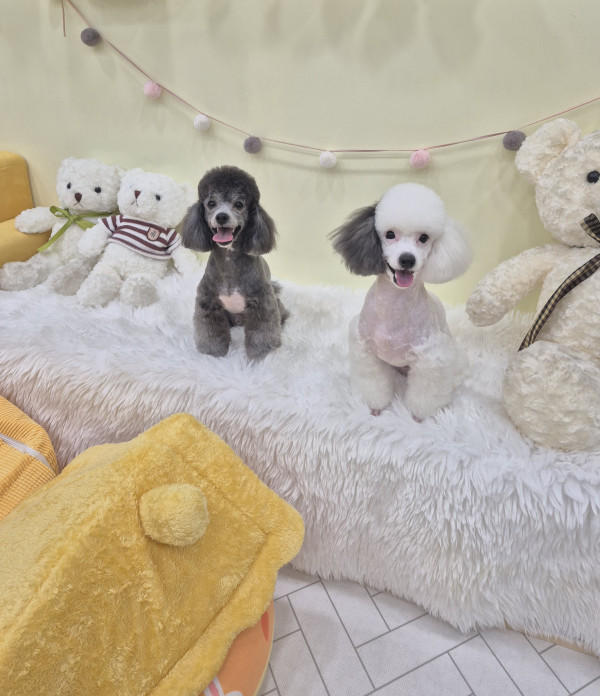 5ffd57d1eaef4db7fd52a056273bed6d_1750802938_7301.jpg