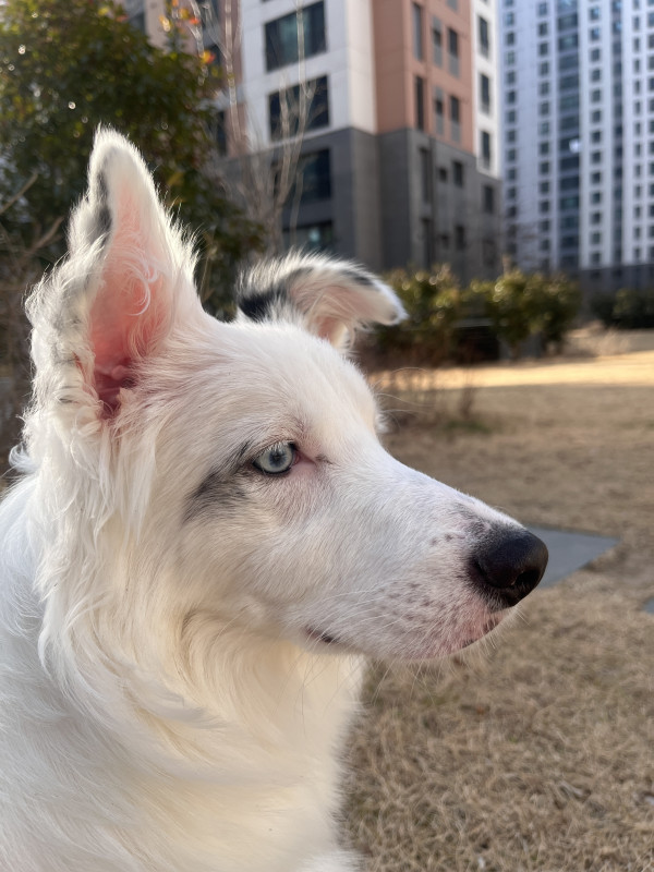 7ee65dce477778cbd1446e1c8a9357d6_1749357470_4438.jpeg