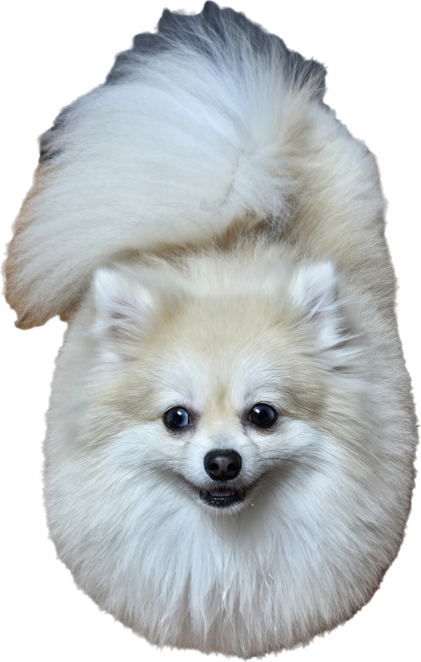 9267294cd476df80c67be46c233e2423_1749546644_5496.png