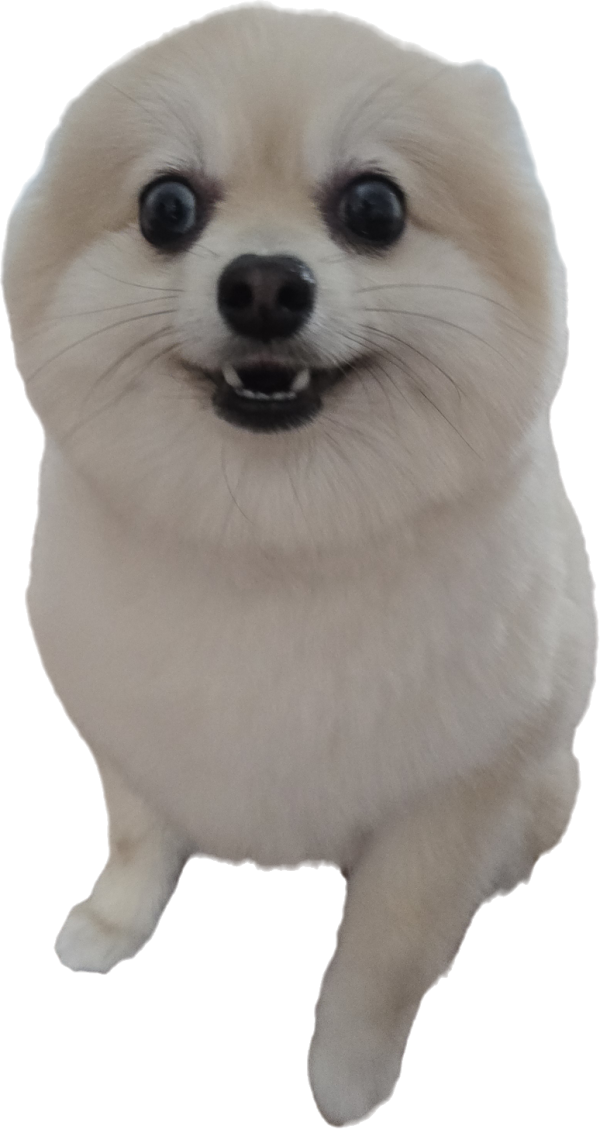 9b4ca8bee480aafa2b1e528251be65c0_1749546644_5535.png