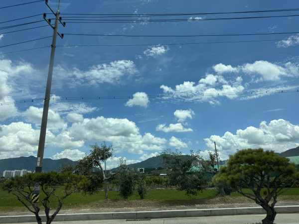 9f9ddf910fb6758a707ea55d4794c12c_1751291475_6165.jpeg