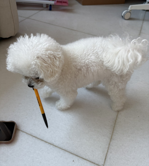a477011f582ab85d42d03c78e0062c11_1750230329_7679.jpeg