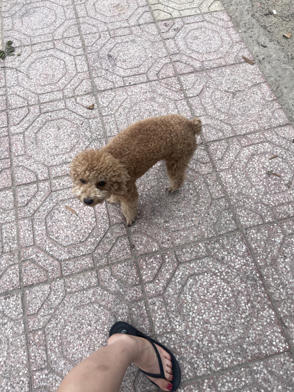 ab0afef6149f2b56f894b1ec5e5ad0dc_1751110505_8260.jpeg