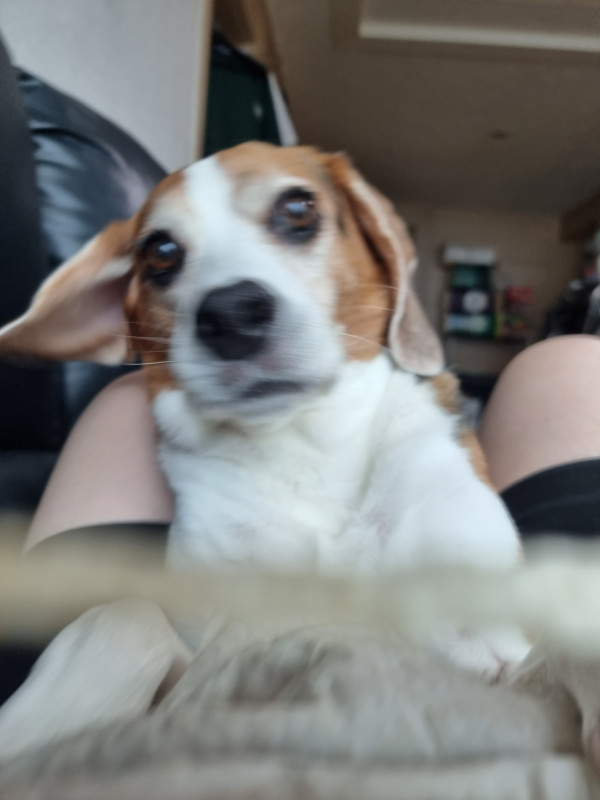 ad6dc38acc64530cdb333ef861862197_1749107245_4901.jpeg