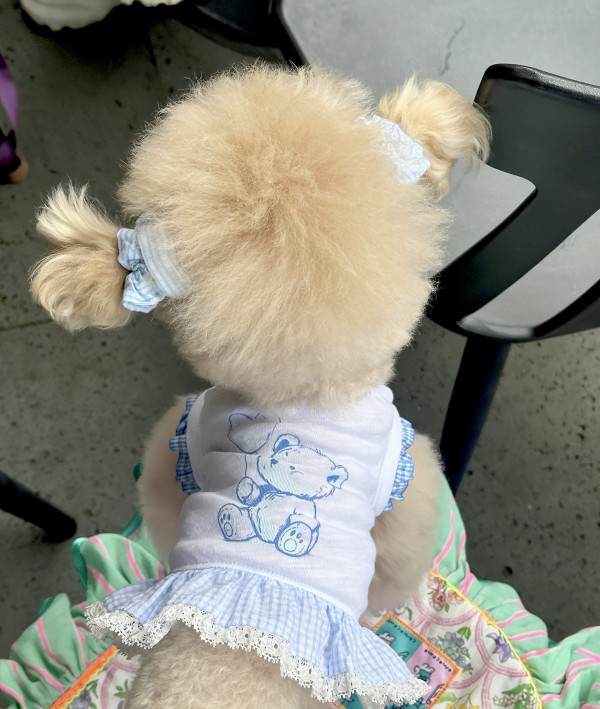 b38049e52601e332eb470743c902507c_1750864705_3639.jpeg