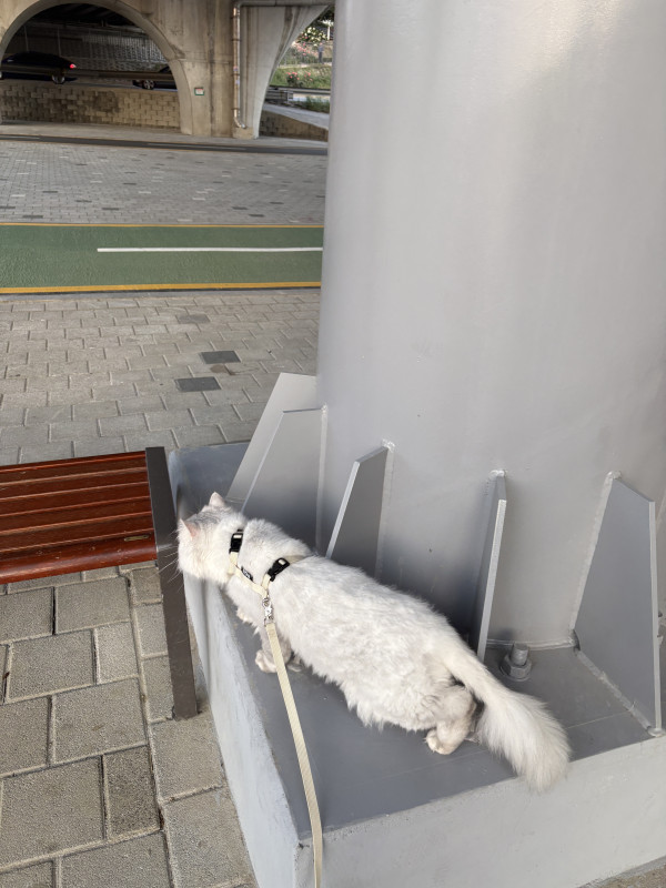 c149fb582ee02ab13ee53cf96d7fa737_1750808542_2766.jpeg