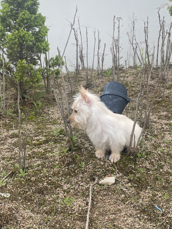 c9ca6b31104873c879da15d4822e44d4_1751245733_3814.jpeg
