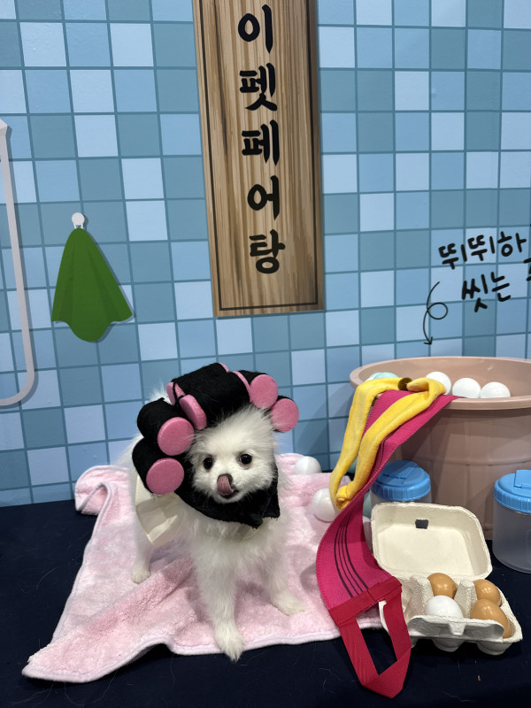 d1a004e359b90b1e75632606a8faea61_1749905252_5549.jpeg