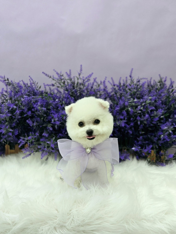 d26aece5babeb6755fe0a8eab7fefe69_1750306001_3693.jpg
