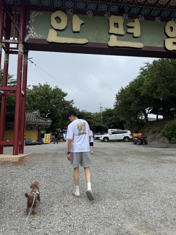 d7654dd727334d1a7706a548060a5175_1751128352_4939.jpeg