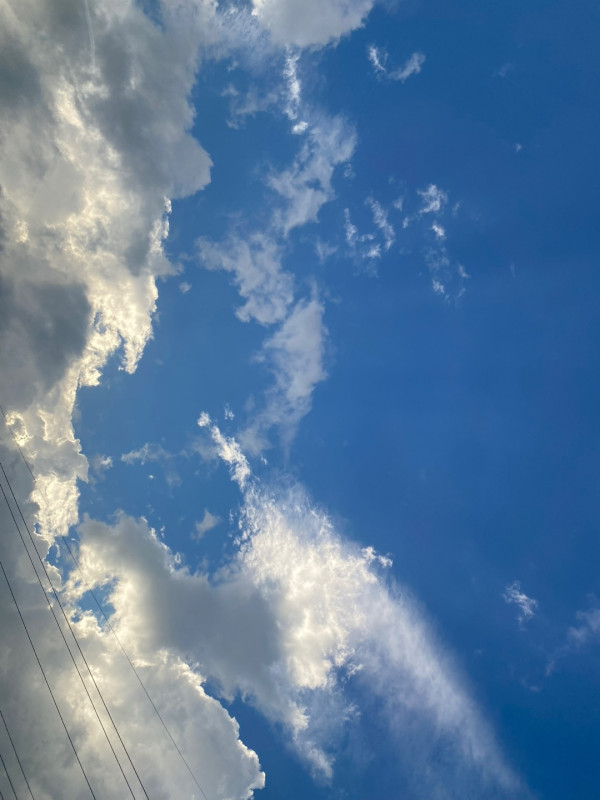 d8fd5dafb9067a3e65719286805cc6be_1751255465_3805.jpg