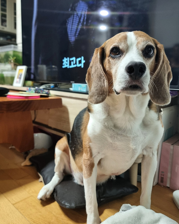 f7cd061787d766274736d6744367926c_1749106717_9359.jpeg