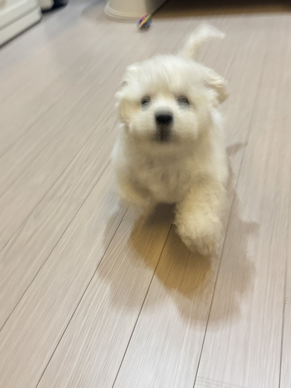 f8b8001401280ee7b7e54ab8ae88776f_1749364053_4319.jpeg