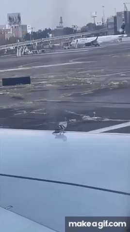 19 비행기 무단탑승에 실패함.gif