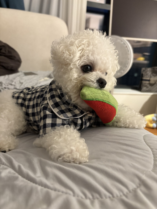 0d77ec791215e63a41db41e91f864c0a_1752087773_4576.jpeg