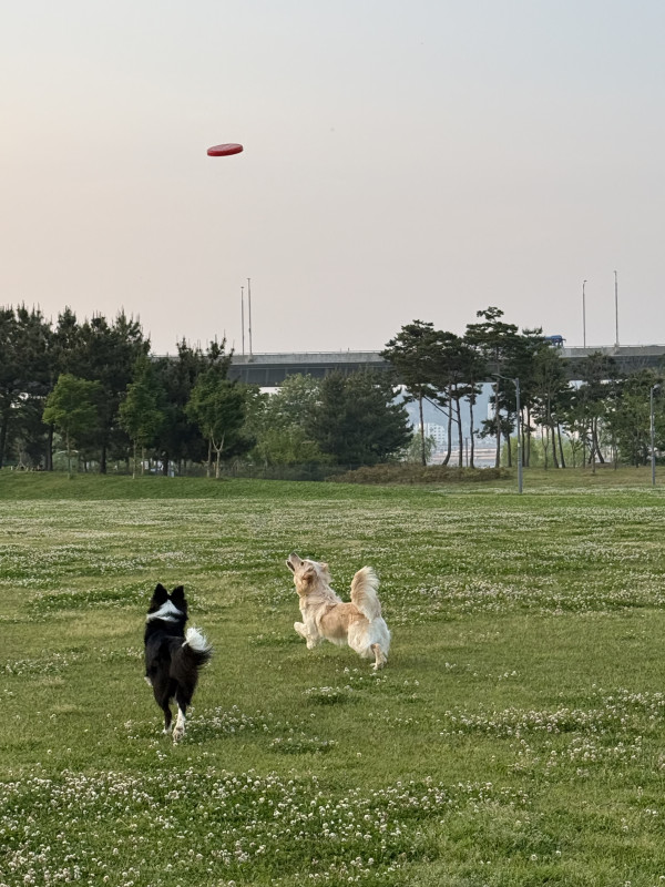 0f13678d44a01bcbc5470f4ef5c51b7e_1751907267_9744.jpeg