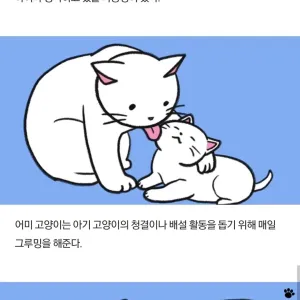 4d123f967ff580e475fce47bc9bc57be.webp