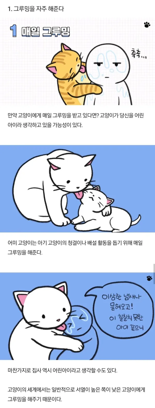 4d123f967ff580e475fce47bc9bc57be.webp