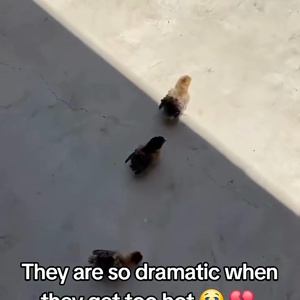 동영상 썸네일