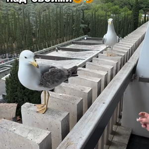 동영상 썸네일