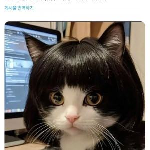 20250708075847_B9DSxYsKiL.jpeg