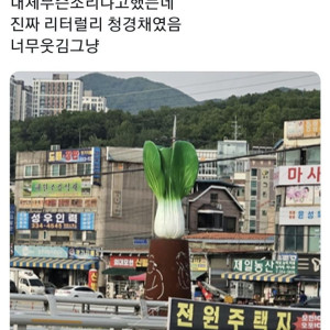 20250717110642_cL96neOo5M.jpeg