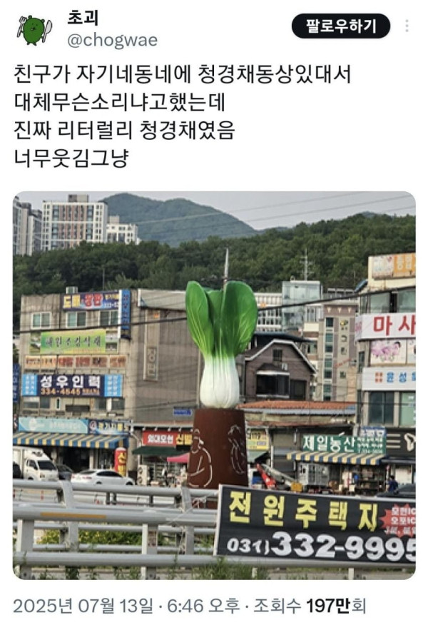 20250717110642_cL96neOo5M.jpeg