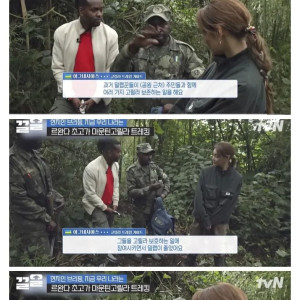 20 르완다에서 고릴라 밀렵꾼들이 갑자기 사라진 이유.jpg