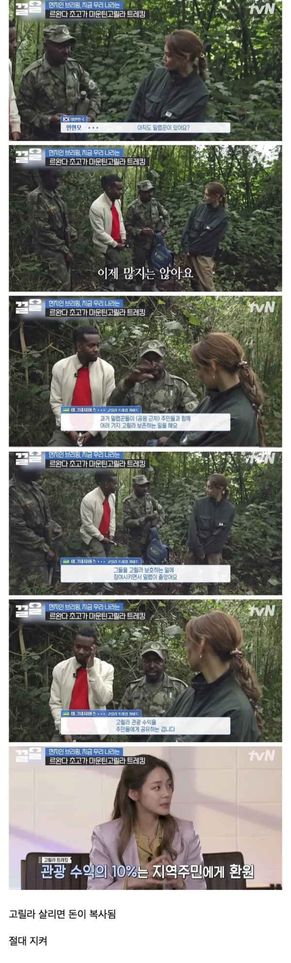 20 르완다에서 고릴라 밀렵꾼들이 갑자기 사라진 이유.jpg